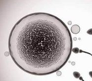 2026做试管助孕一般要等多久(广州试管助孕价格需要多少)