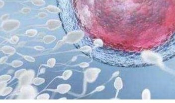 2026北医三院试管婴儿费用整理，单周期花费明细参考